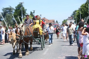 photographe-reportage-evenements-corso-defile-fetes-equestre-landes-aire-sur-adour-defile-poney